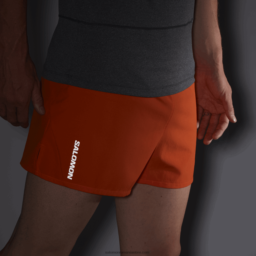 Salomon ibis stacojiu pantaloni scurți pentru bărbați - cruce 3 6D8X2J268