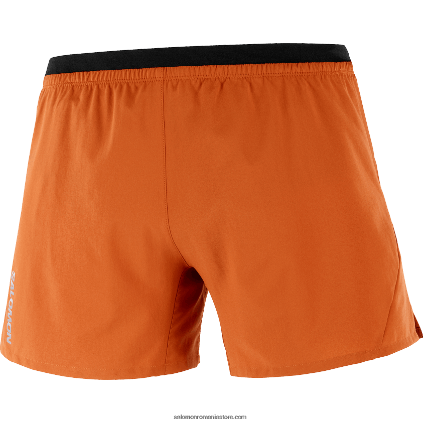 Salomon ocru ars pantaloni scurți pentru bărbați - cruce 5 6D8X2J271