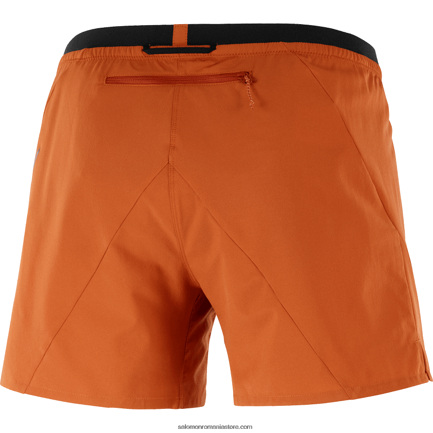 Salomon ocru ars pantaloni scurți pentru bărbați - cruce 5 6D8X2J271