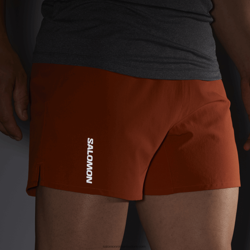 Salomon ocru ars pantaloni scurți pentru bărbați - cruce 5 6D8X2J271