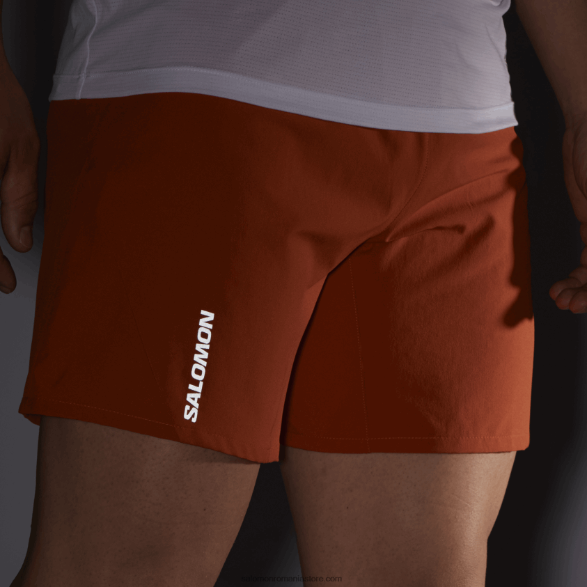 Salomon ocru ars pantaloni scurți pentru bărbați - cruce 7 6D8X2J265
