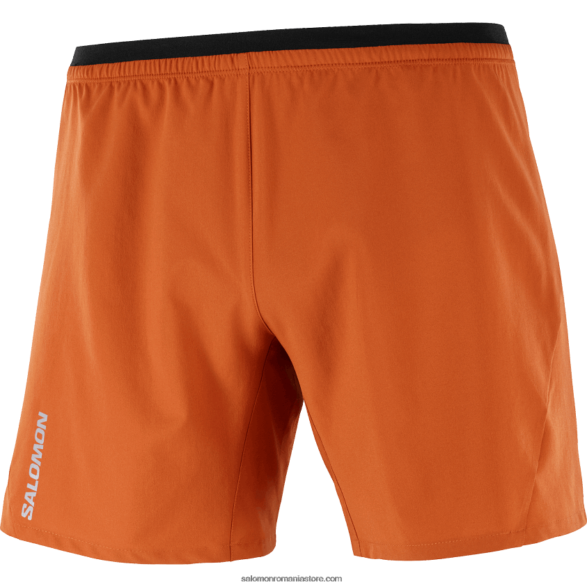 Salomon ocru ars pantaloni scurți pentru bărbați - cruce 7 6D8X2J265