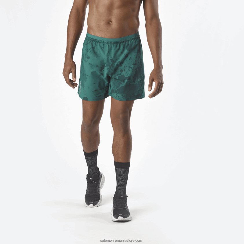 Salomon pacific/ao/ponderosa pine pantaloni scurți pentru bărbați - cruce 7 6D8X2J296