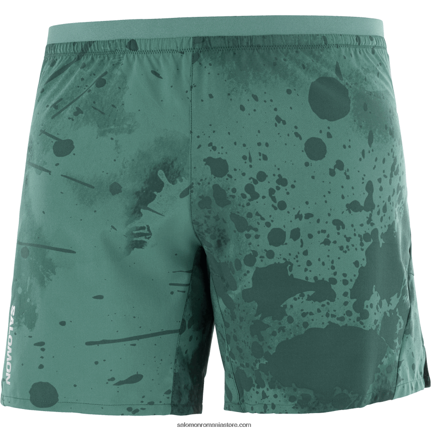 Salomon pacific/ao/ponderosa pine pantaloni scurți pentru bărbați - cruce 7 6D8X2J296
