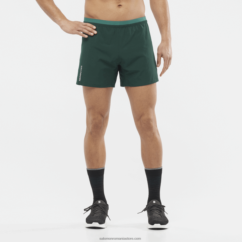 Salomon pin ponderosa pantaloni scurți pentru bărbați - cruce 5 6D8X2J274