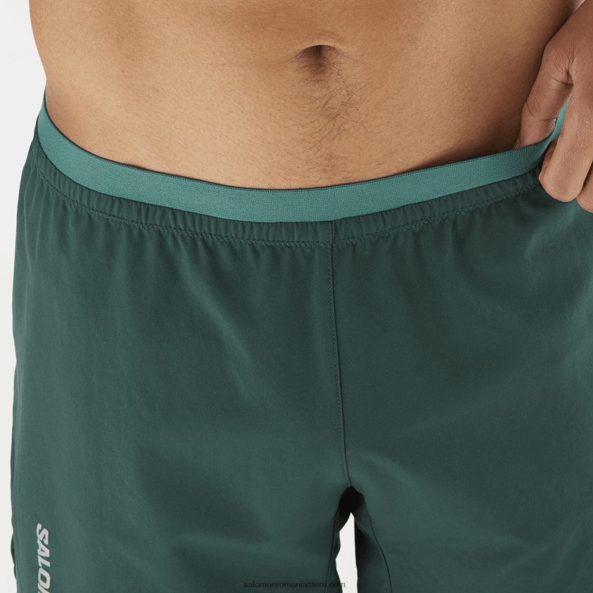 Salomon pin ponderosa pantaloni scurți pentru bărbați - cruce 5 6D8X2J274
