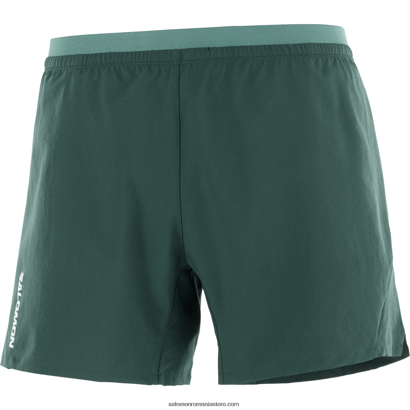 Salomon pin ponderosa pantaloni scurți pentru bărbați - cruce 5 6D8X2J274
