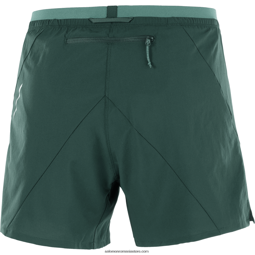 Salomon pin ponderosa pantaloni scurți pentru bărbați - cruce 5 6D8X2J274