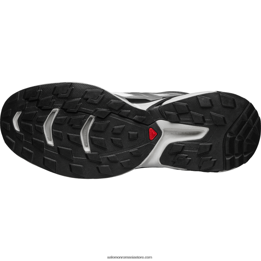 Salomon alb/argintiu metalic x/negru pantofi sport pentru bărbați - xt-wings 2 6D8X2J194