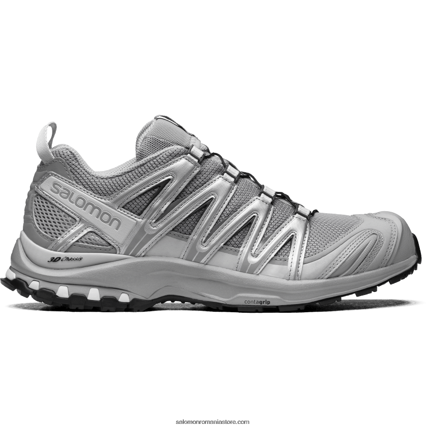 Salomon aliaj/argint/rocă lunară pantofi sport pentru bărbați - xa pro 3d 6D8X2J222