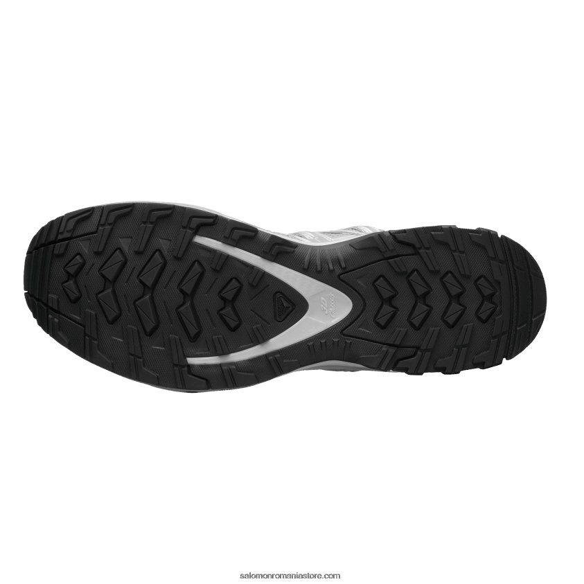 Salomon aliaj/argint/rocă lunară pantofi sport pentru bărbați - xa pro 3d 6D8X2J222