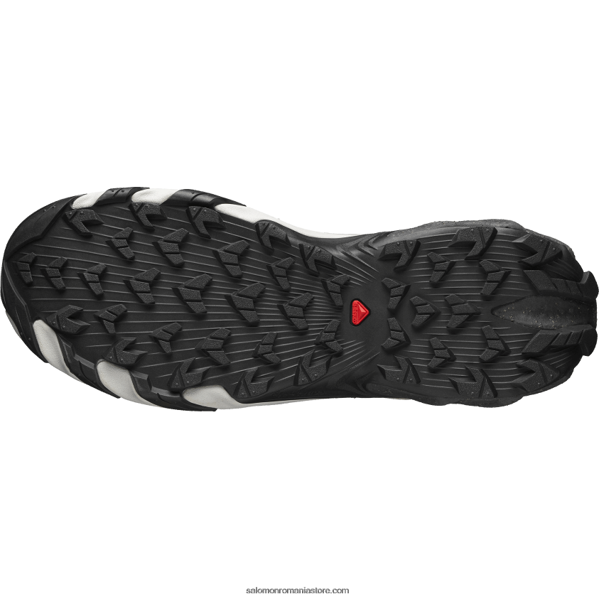 Salomon argintiu/gri de îngheț/rocă lunară pantofi sport pentru bărbați - speedverse prg 6D8X2J114