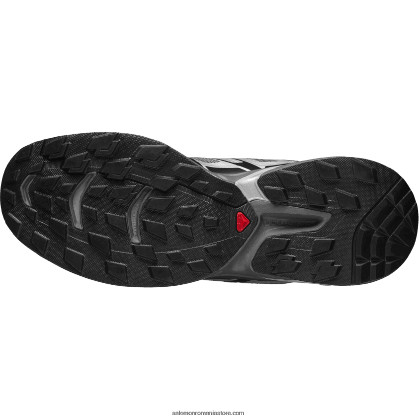 Salomon argintiu/nuanta linistita/negru pantofi sport pentru bărbați - xt-wings 2 6D8X2J188