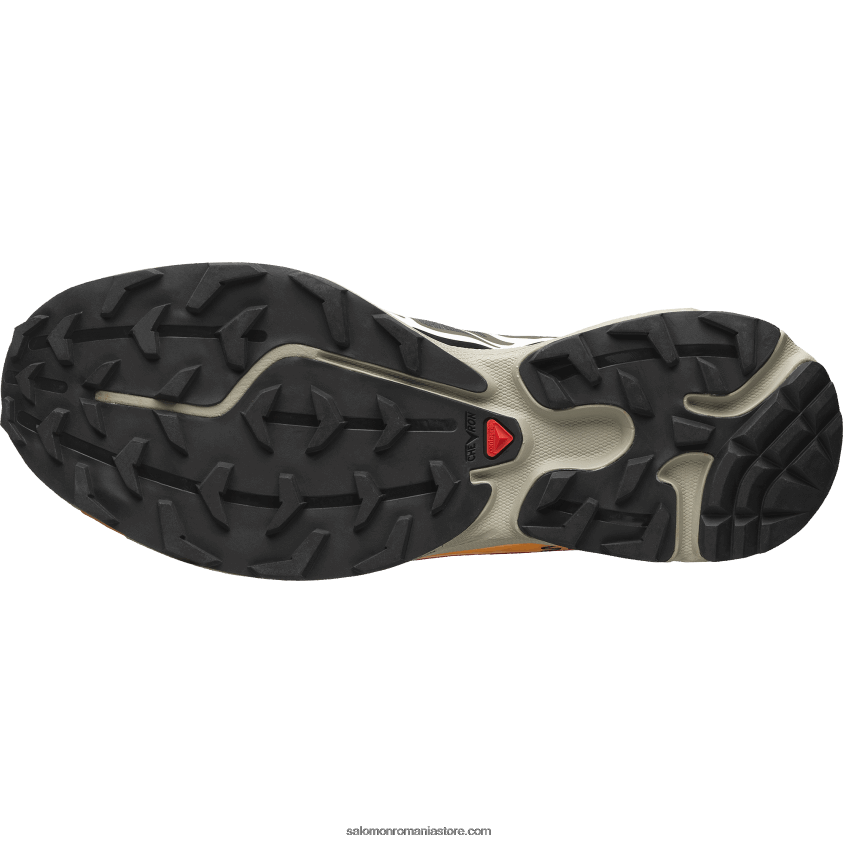 Salomon beluga/negru/portocaliu russet pantofi sport pentru bărbați - xt-6 recut 6D8X2J66