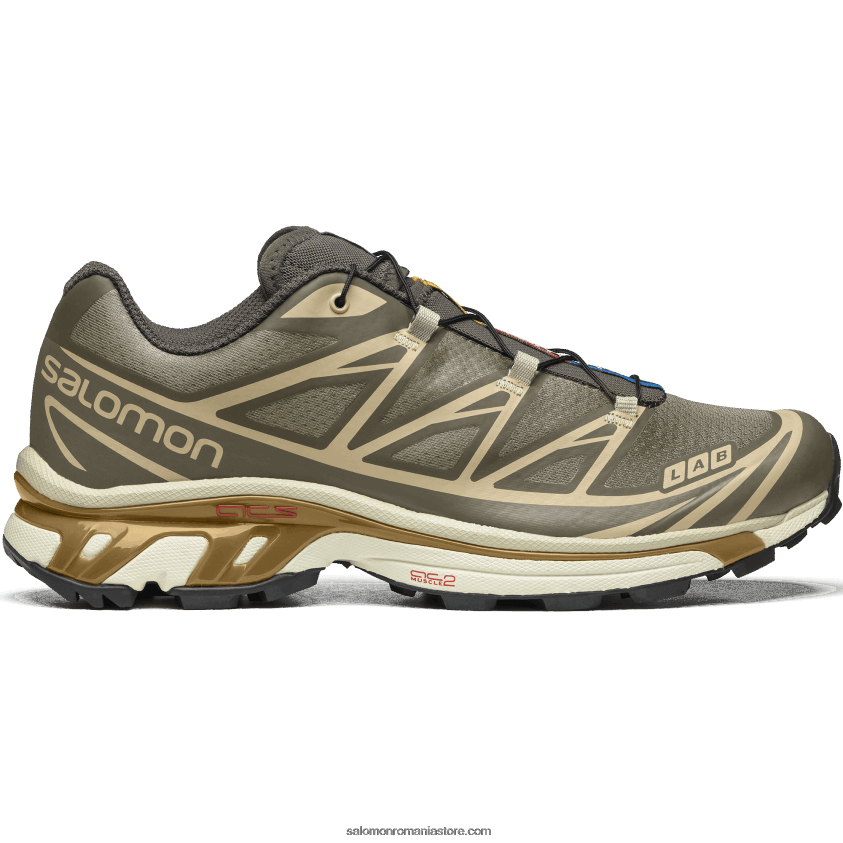 Salomon beluga/pewter/dull gold pantofi sport pentru bărbați - xt-6 6D8X2J71