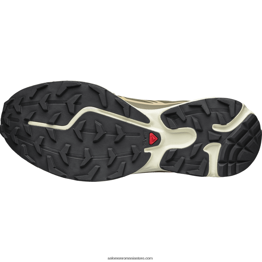 Salomon beluga/pewter/dull gold pantofi sport pentru bărbați - xt-6 6D8X2J71