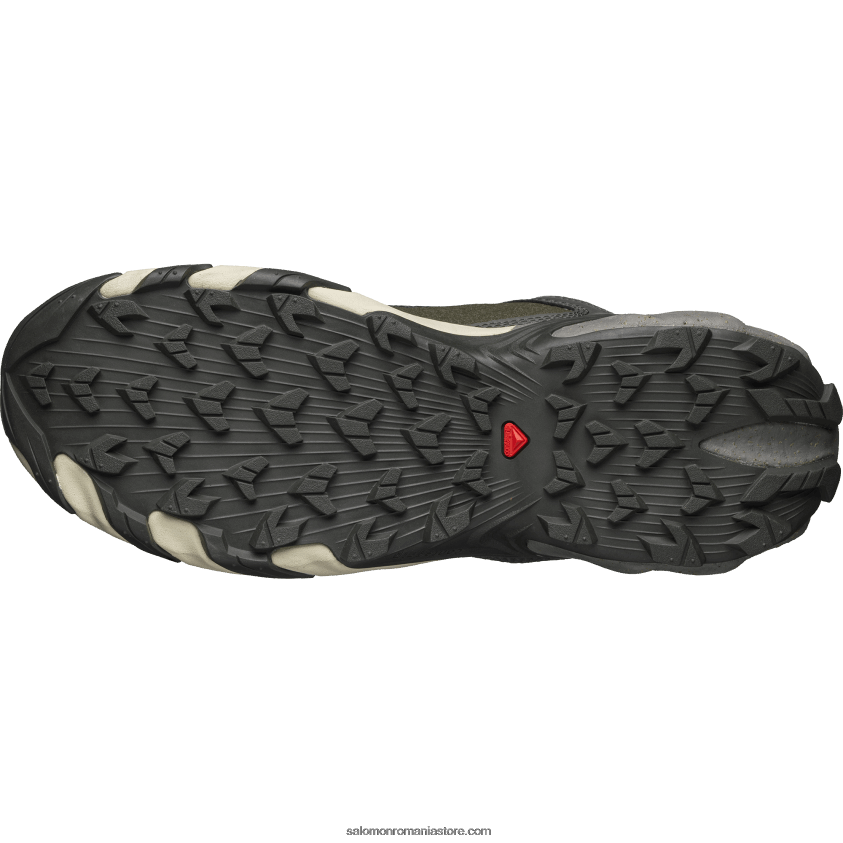 Salomon beluga/pewter/moonscape pantofi sport pentru bărbați - speedverse prg 6D8X2J113
