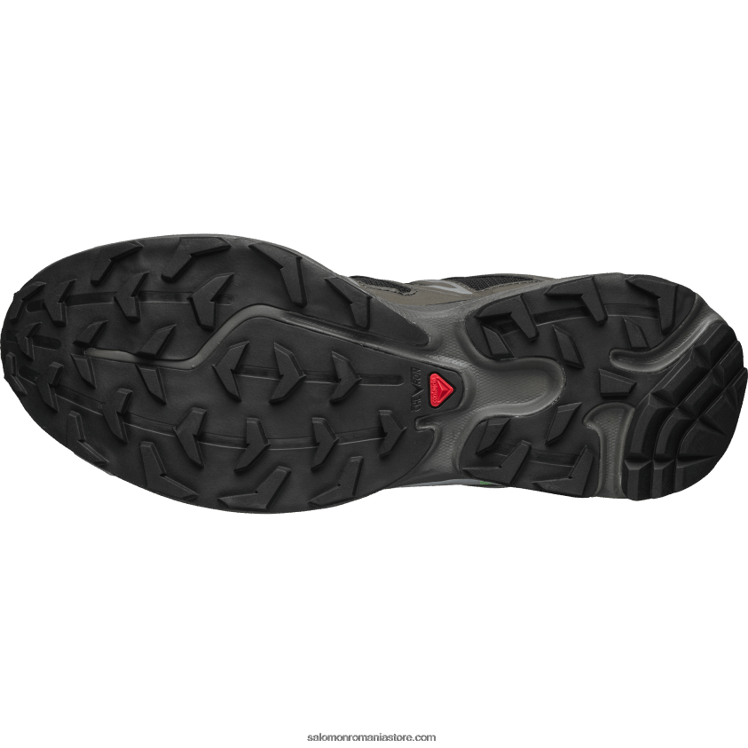 Salomon beluga/turbă/verde de vară pantofi sport pentru bărbați - xt-6 expanse 6D8X2J98