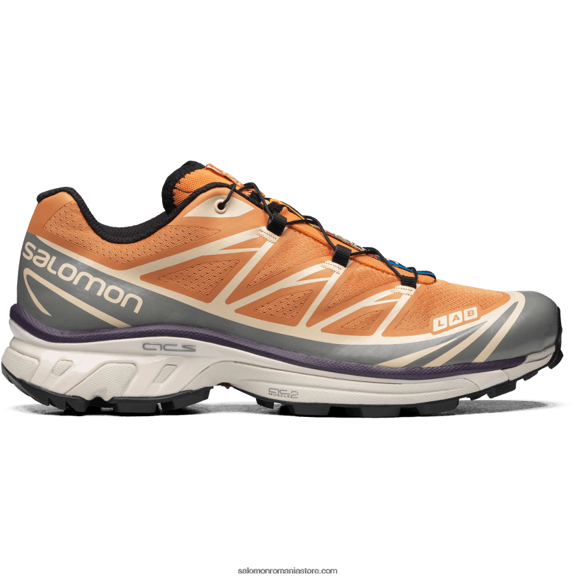 Salomon cais buff/frost gri/velvet morning pantofi sport pentru bărbați - xt-6 6D8X2J73