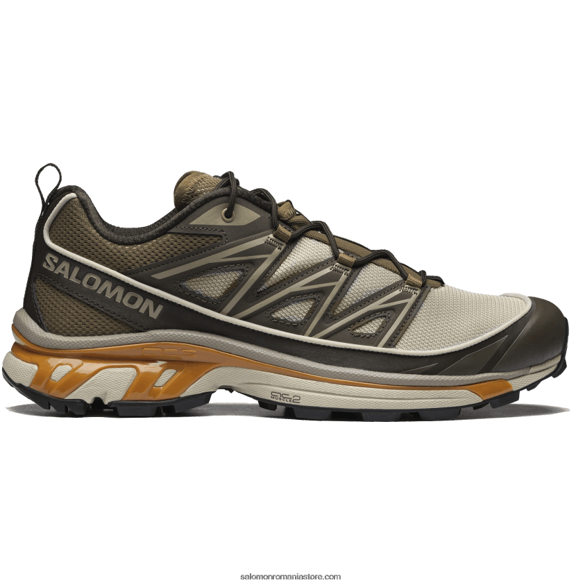 Salomon cenușiu pene/delicioso/stejar auriu pantofi sport pentru bărbați - xt-6 expanse 6D8X2J99