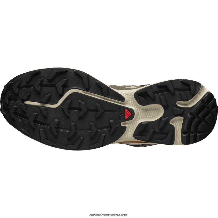 Salomon cenușiu pene/delicioso/stejar auriu pantofi sport pentru bărbați - xt-6 expanse 6D8X2J99