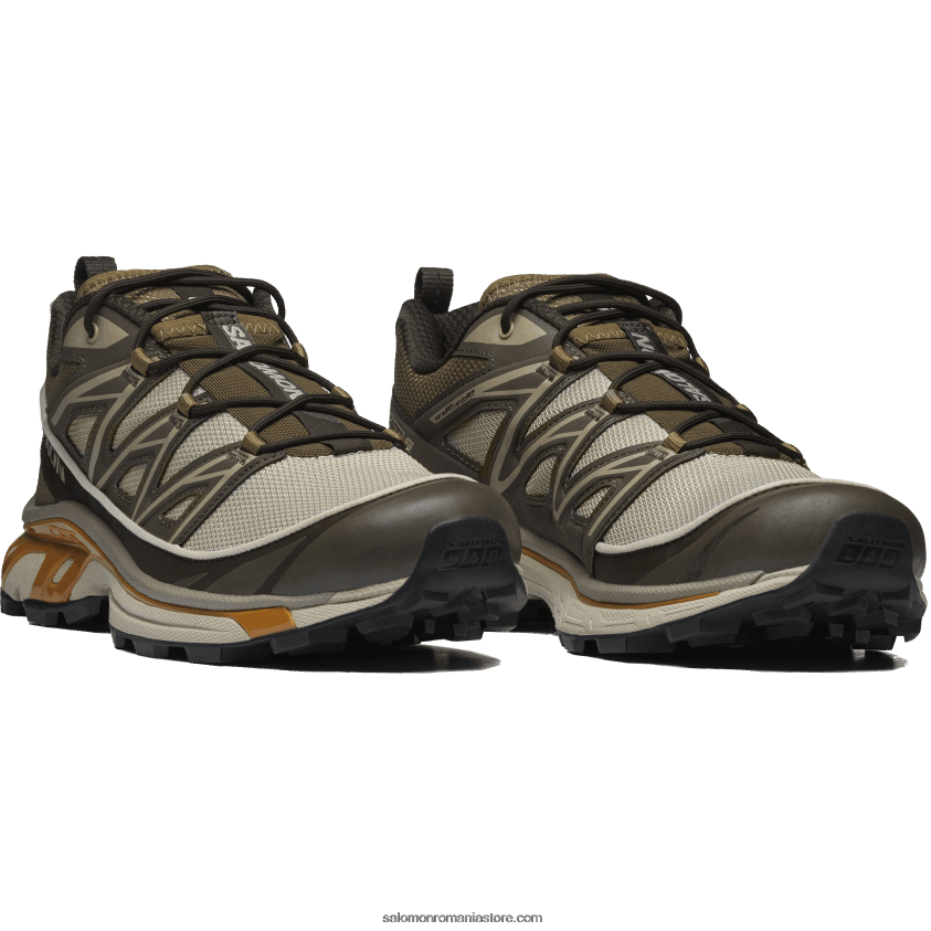 Salomon cenușiu pene/delicioso/stejar auriu pantofi sport pentru bărbați - xt-6 expanse 6D8X2J99