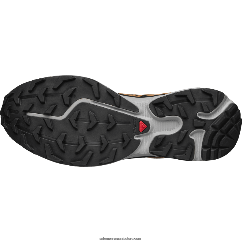 Salomon condiment cathay/cariera/nor de trandafiri pantofi sport pentru bărbați - xt-6 6D8X2J74
