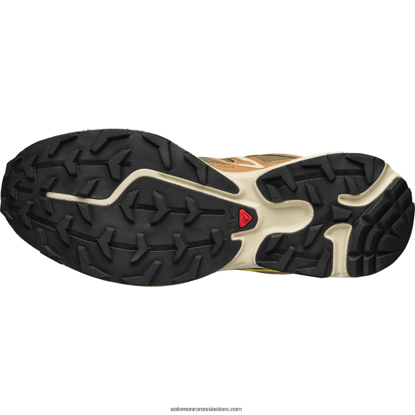 Salomon condiment cathay/soparla/buttercup pantofi sport pentru bărbați - xt-6 expanse 6D8X2J100