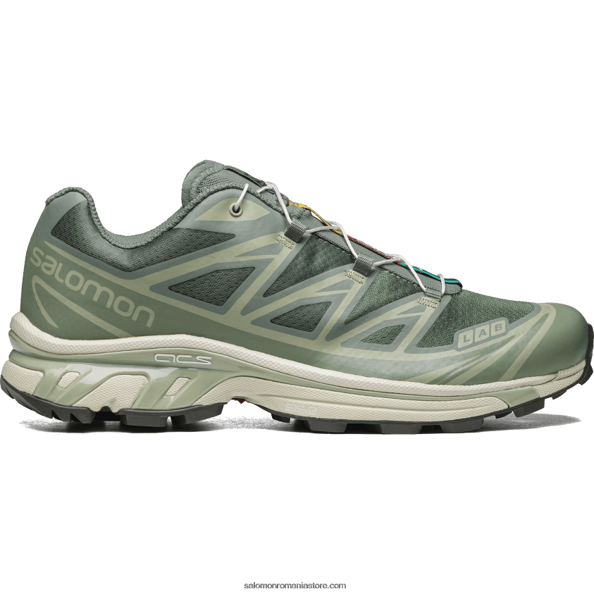 Salomon coroană de laur/crenion/salvie de deșert pantofi sport pentru bărbați - xt-6 6D8X2J77