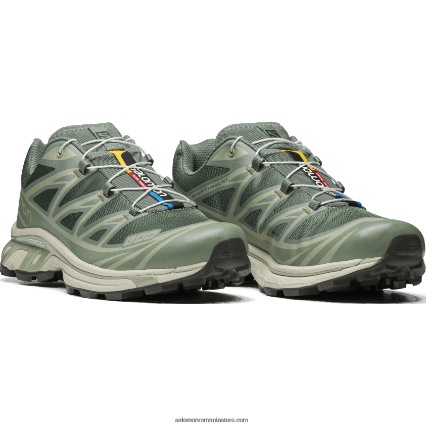 Salomon coroană de laur/crenion/salvie de deșert pantofi sport pentru bărbați - xt-6 6D8X2J77