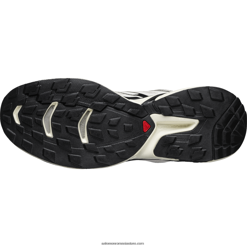 Salomon cradle roz/vanilie gheață/negru pantofi sport pentru bărbați - xt-wings 2 6D8X2J186