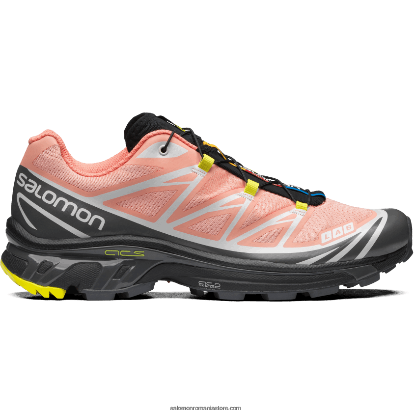Salomon dalie înflorită/monument/negru pantofi sport pentru bărbați - xt-6 6D8X2J72