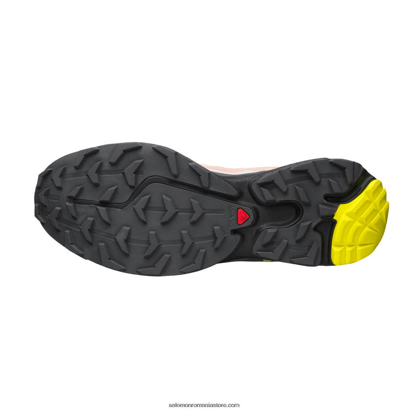 Salomon dalie înflorită/monument/negru pantofi sport pentru bărbați - xt-6 6D8X2J72