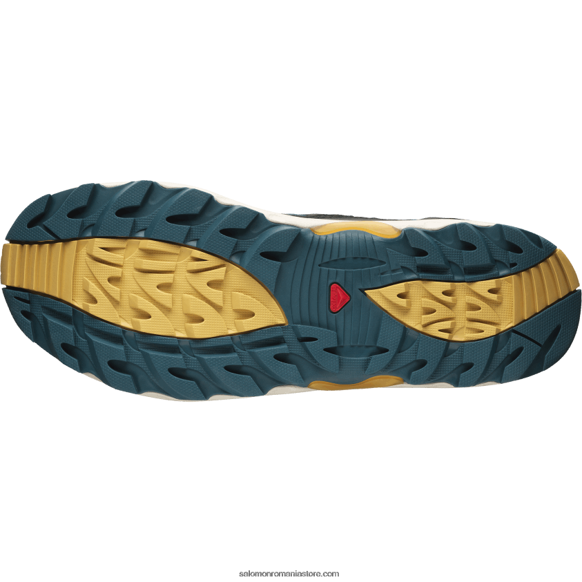 Salomon fondant de ciocolată/lemn de săgeată/negru pantofi sport pentru bărbați - xa pro 1 mid gore-tex 6D8X2J198