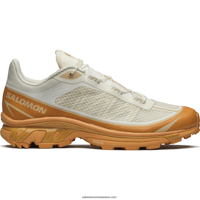 Salomon gheață de vanilie/piei de căpin/alune pantofi sport pentru bărbați - xt-6 ft 6D8X2J91