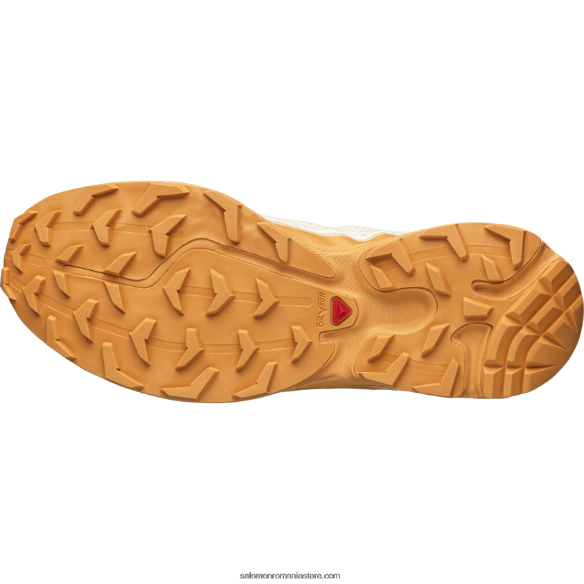 Salomon gheață de vanilie/piei de căpin/alune pantofi sport pentru bărbați - xt-6 ft 6D8X2J91