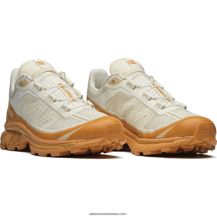 Salomon gheață de vanilie/piei de căpin/alune pantofi sport pentru bărbați - xt-6 ft 6D8X2J91
