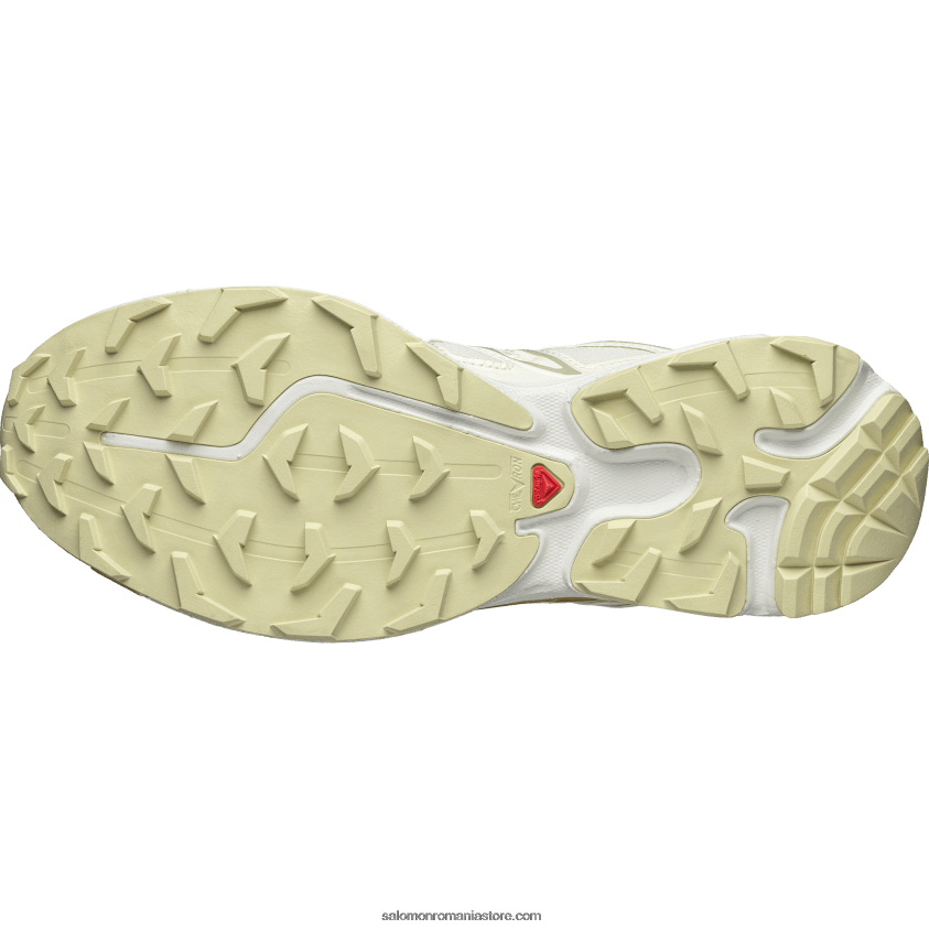 Salomon gheață de vanilie/salvie de deșert/tiffy pantofi sport pentru bărbați - xt-6 expanse cottage core 6D8X2J142