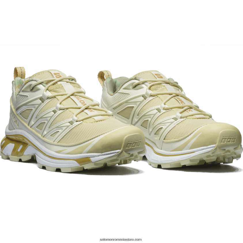 Salomon gheață de vanilie/salvie de deșert/tiffy pantofi sport pentru bărbați - xt-6 expanse cottage core 6D8X2J142