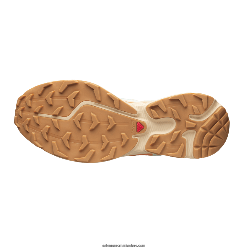 Salomon gheață de vanilie/yucca/sun coapte pantofi sport pentru bărbați - xt-6 skyline 6D8X2J130