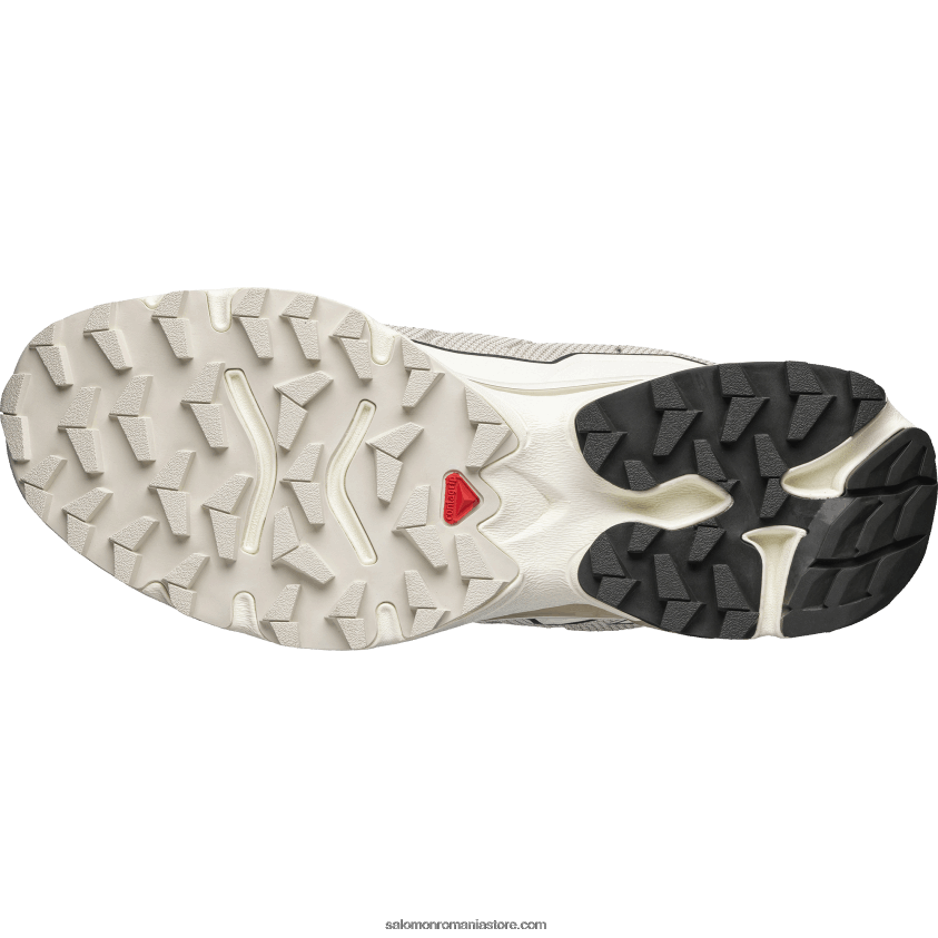 Salomon gheață de vanilie/zi ploioasă/turbă pantofi sport pentru bărbați - xt-slate advanced 6D8X2J151