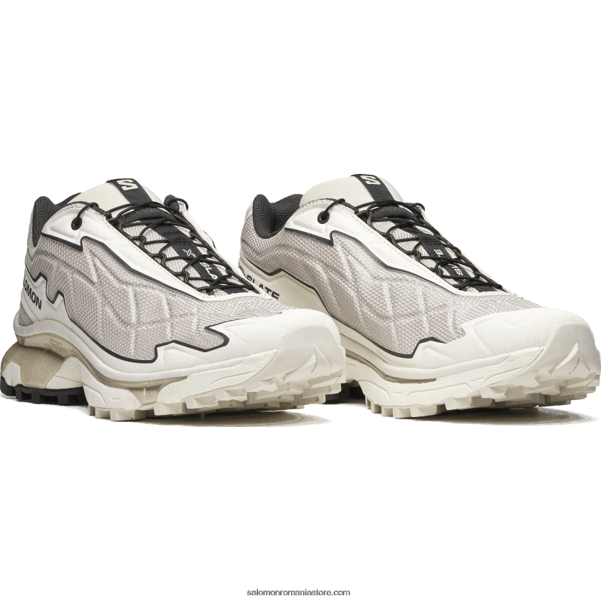 Salomon gheață de vanilie/zi ploioasă/turbă pantofi sport pentru bărbați - xt-slate advanced 6D8X2J151