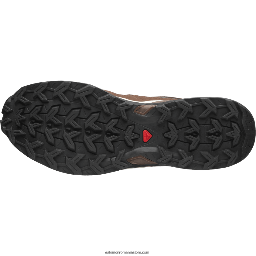 Salomon gheata de vanilie/fondant de ciocolata/frunza de toamna pantofi sport pentru bărbați - shelter low piele 6D8X2J174
