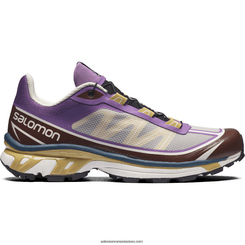Salomon liliac regal/fondant de ciocolată/frunză de toamnă pantofi sport pentru bărbați - xt-6 ft 6D8X2J96