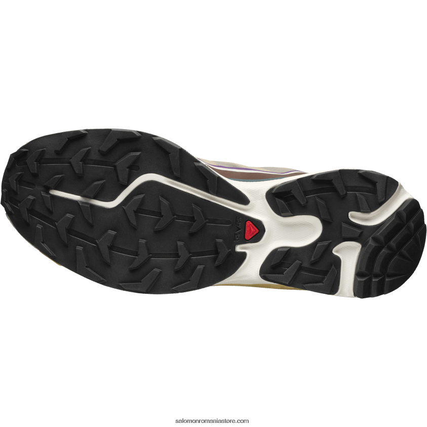 Salomon liliac regal/fondant de ciocolată/frunză de toamnă pantofi sport pentru bărbați - xt-6 ft 6D8X2J96