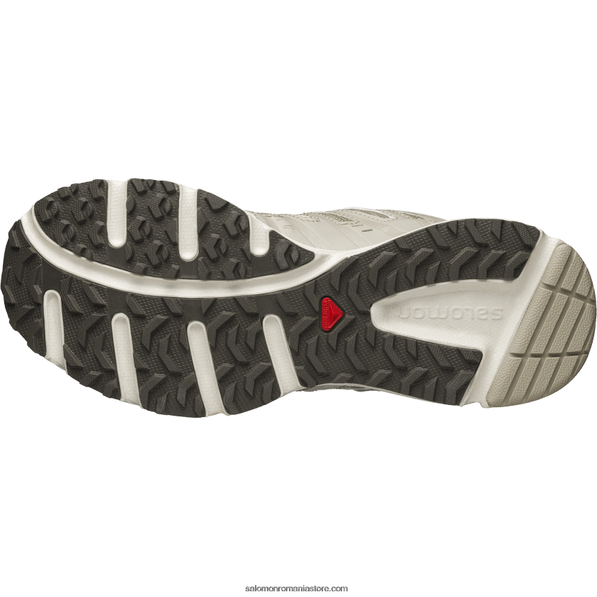 Salomon major maro/gri pene/gheață vanilie pantofi sport pentru bărbați - x-mission 3 6D8X2J205