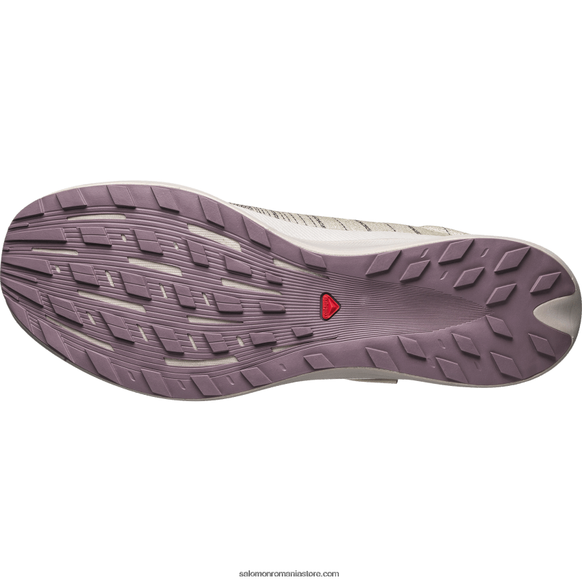 Salomon molie/cenusa de trandafiri/peisaj lunar pantofi sport pentru bărbați - pulsar advanced 6D8X2J140