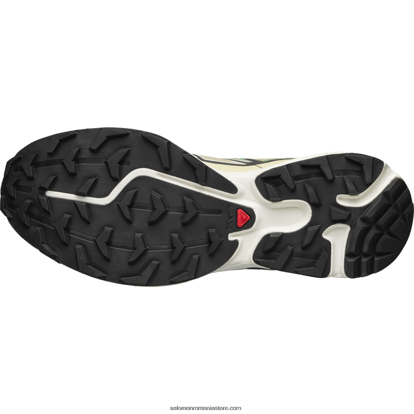 Salomon molie/gheata de vanilie/cerul de granada pantofi sport pentru bărbați - xt-6 mindful 6D8X2J138