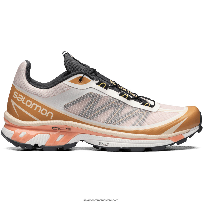 Salomon morganit/schinduf/negru pantofi sport pentru bărbați - xt-6 ft 6D8X2J94