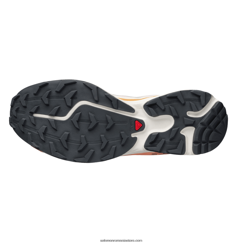 Salomon morganit/schinduf/negru pantofi sport pentru bărbați - xt-6 ft 6D8X2J94